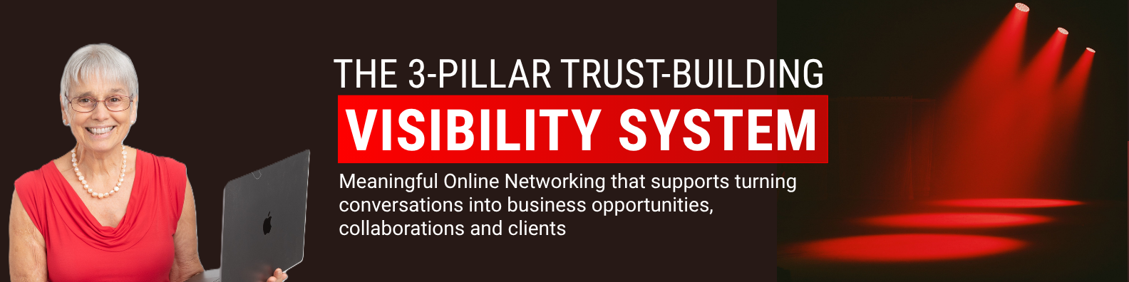 The 3-Pillar Trust-Building Visibility System 3 Pillar Trust Building Visibility System