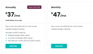 Profitable Startup Business Pricing
